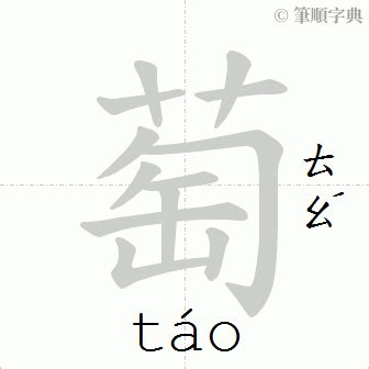 萄造詞|萄造詞，萄字的造詞